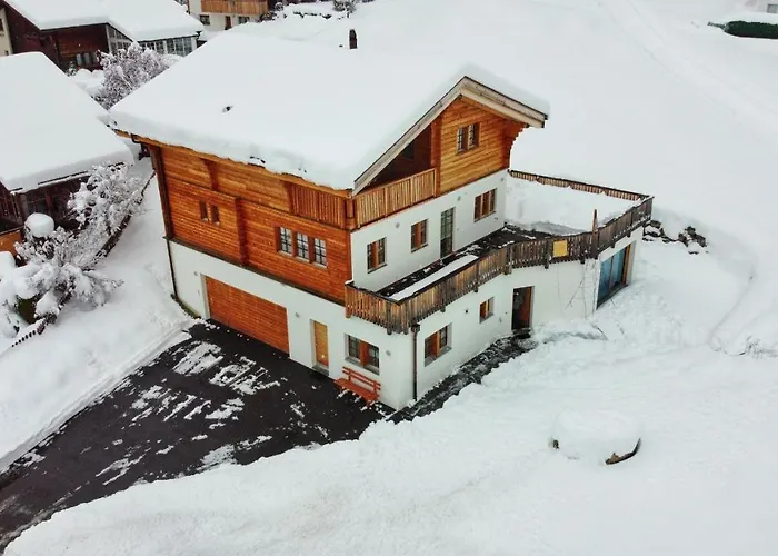 Daire Brunnematta Ernen