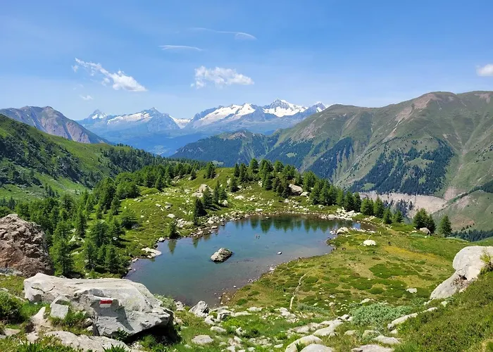 Brunnematta Daire Ernen