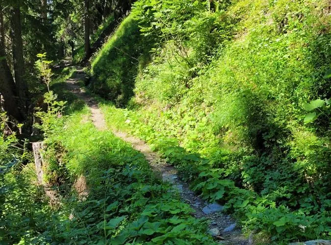 Daire Brunnematta Ernen