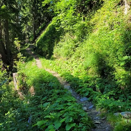 Apartman Brunnematta Ernen